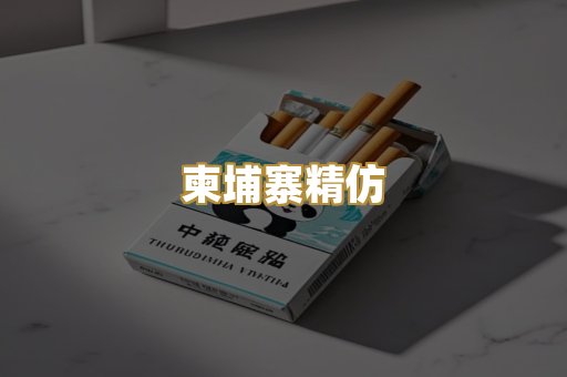 柬埔寨精仿